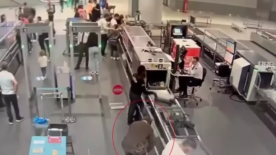 Single Slide