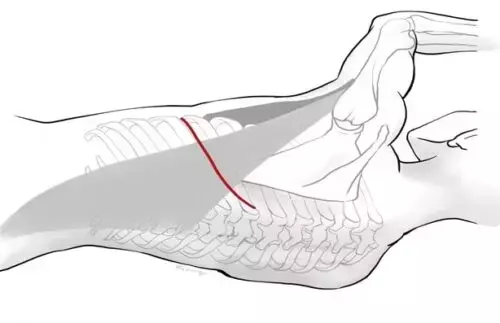 Slide 2