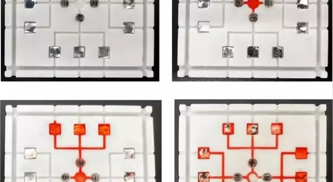 Slide 2