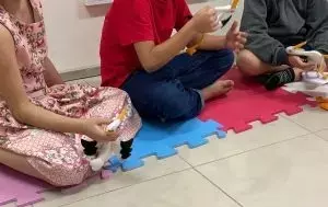 Single Slide