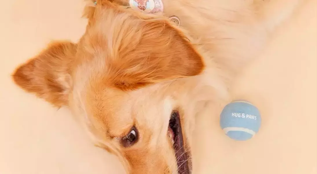 Slide 4