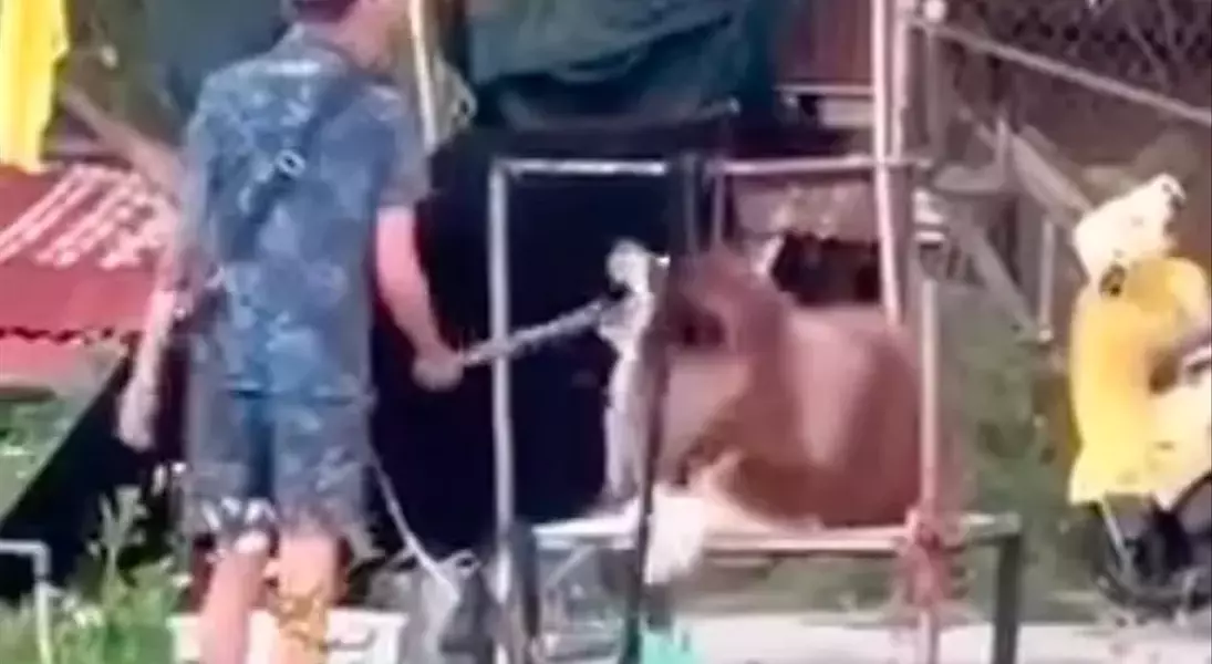 Single Slide