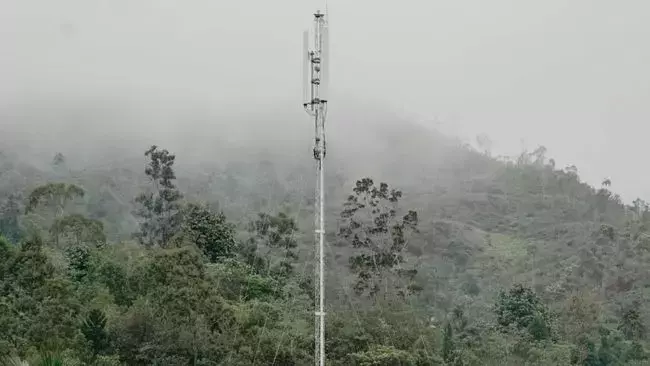 Single Slide