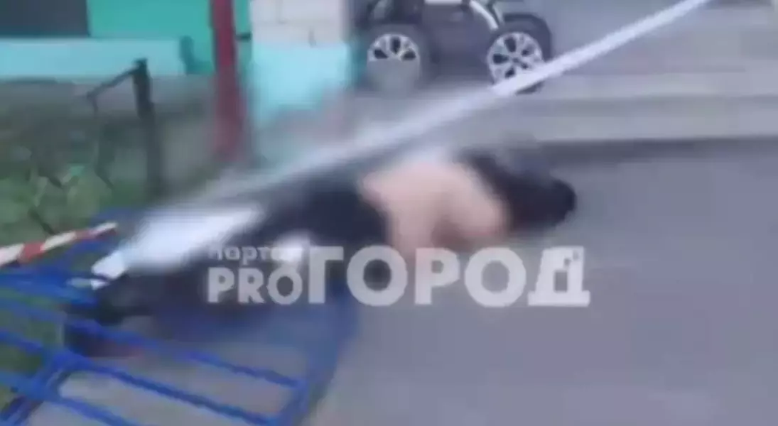 Slide 5