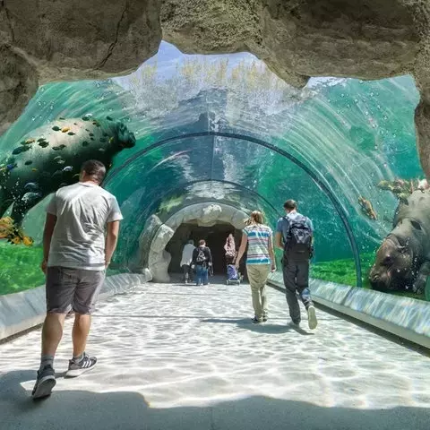 Single Slide