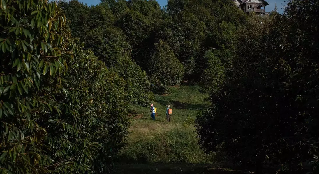 Single Slide