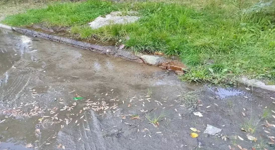 Single Slide