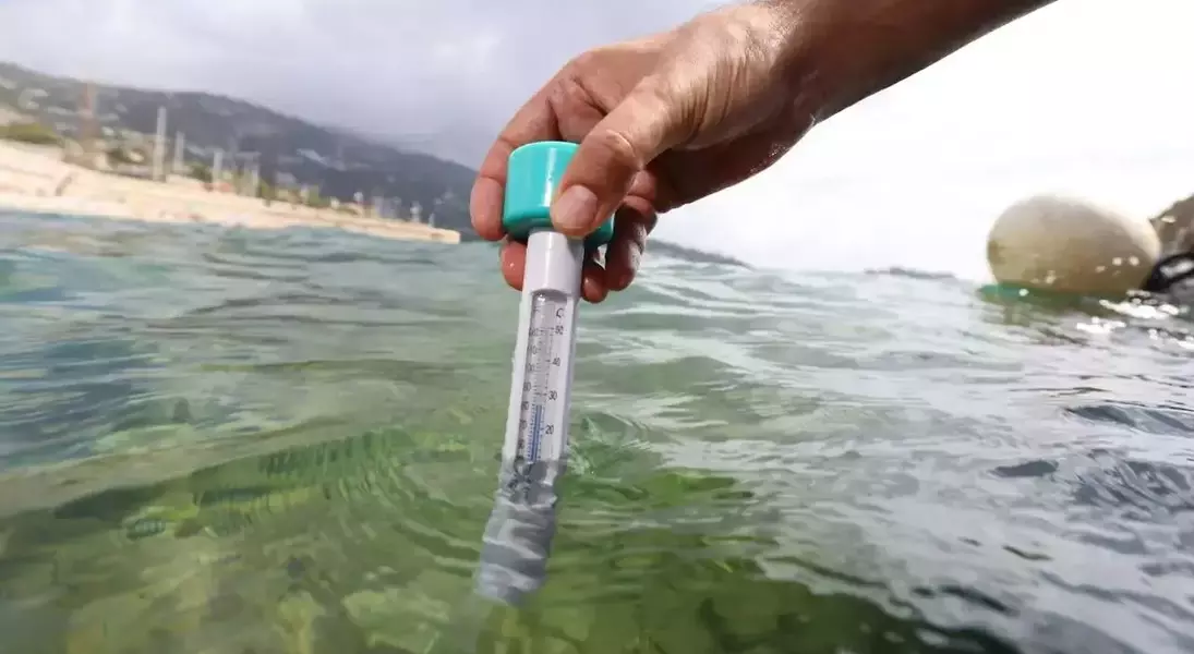Single Slide