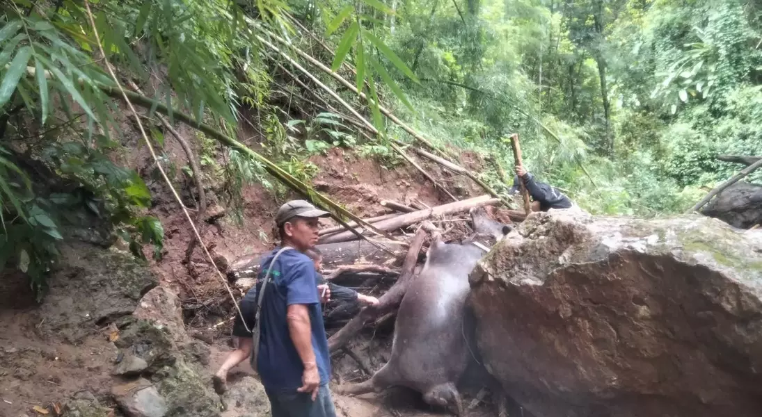 Slide 6
