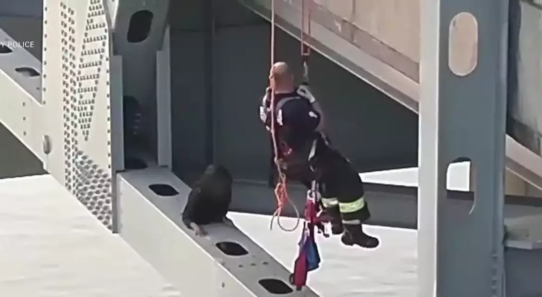 Single Slide