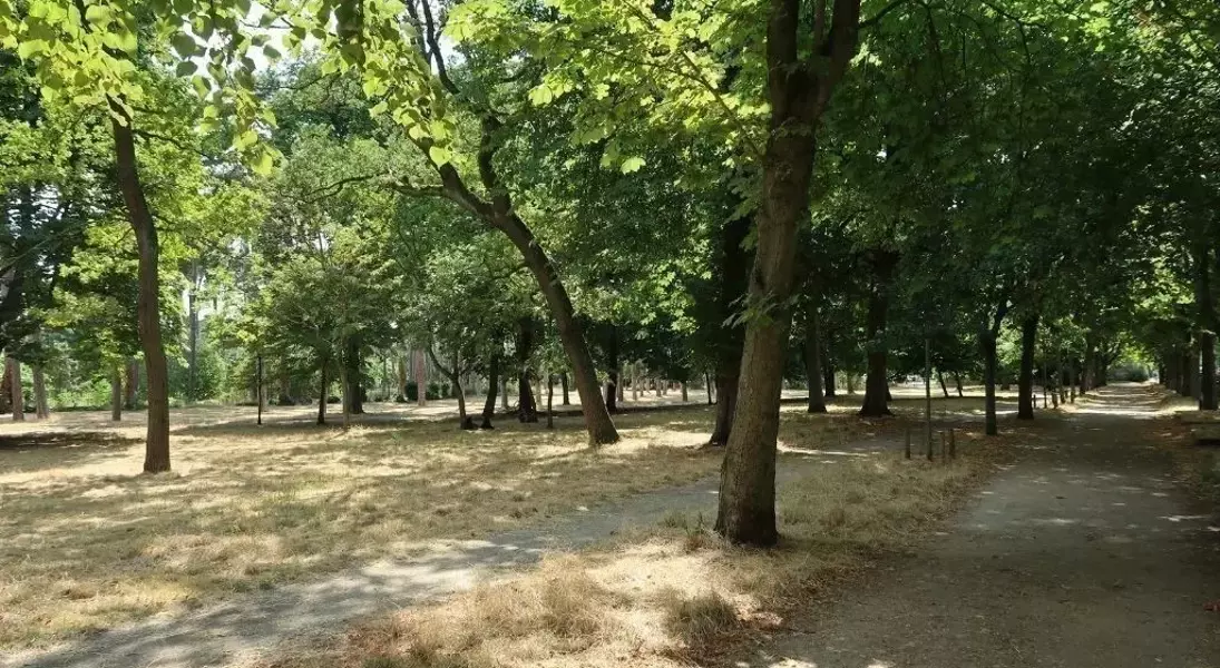 Single Slide