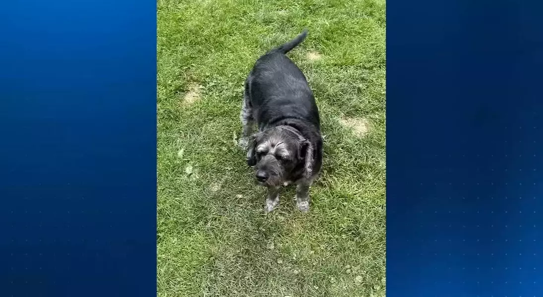 Single Slide