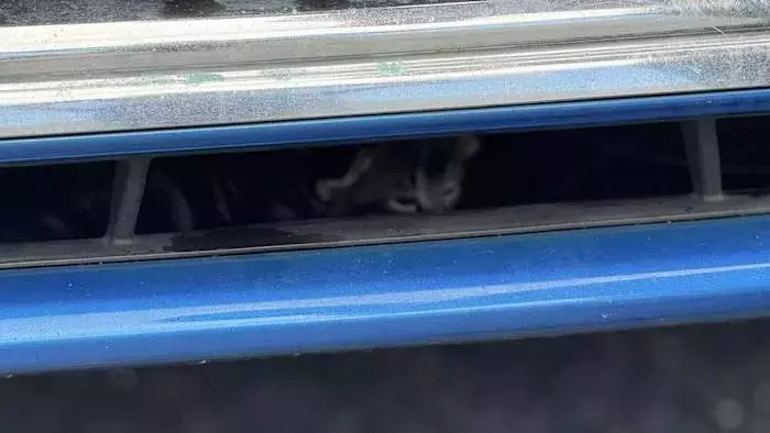 Single Slide