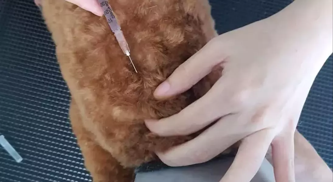 Single Slide