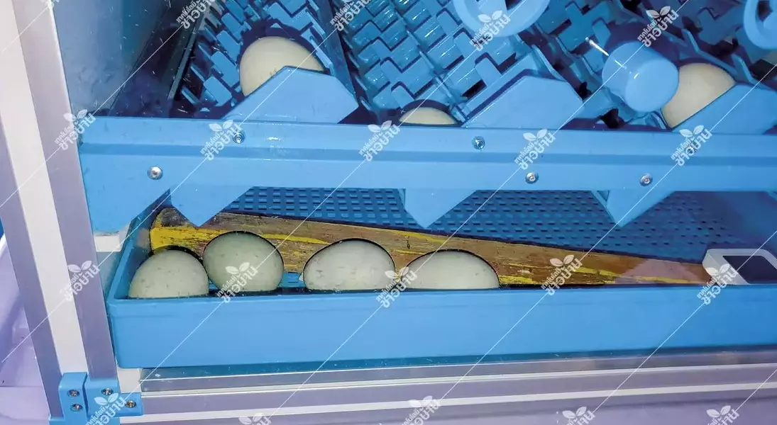 Slide 4