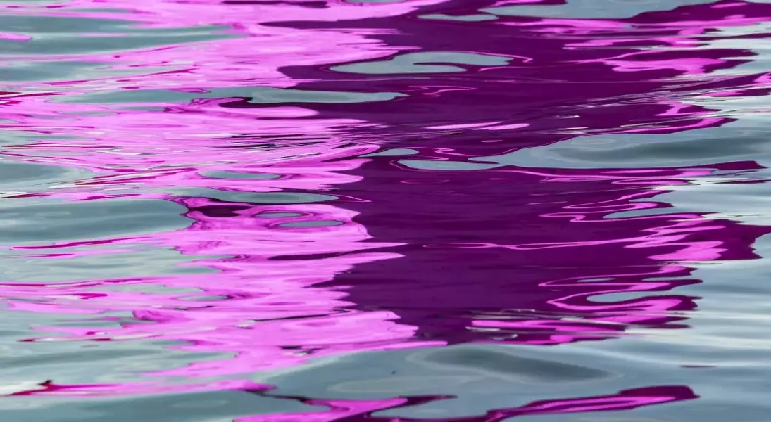 Slide 50