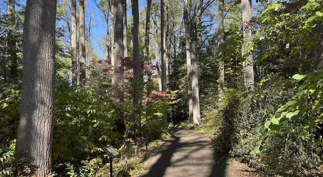 Slide 2