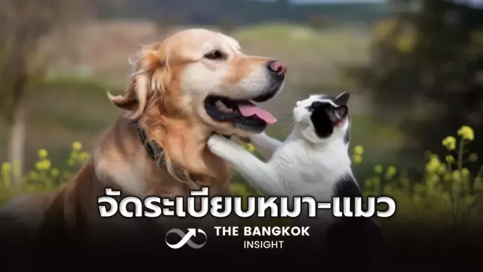 Single Slide