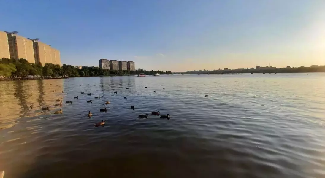 Single Slide