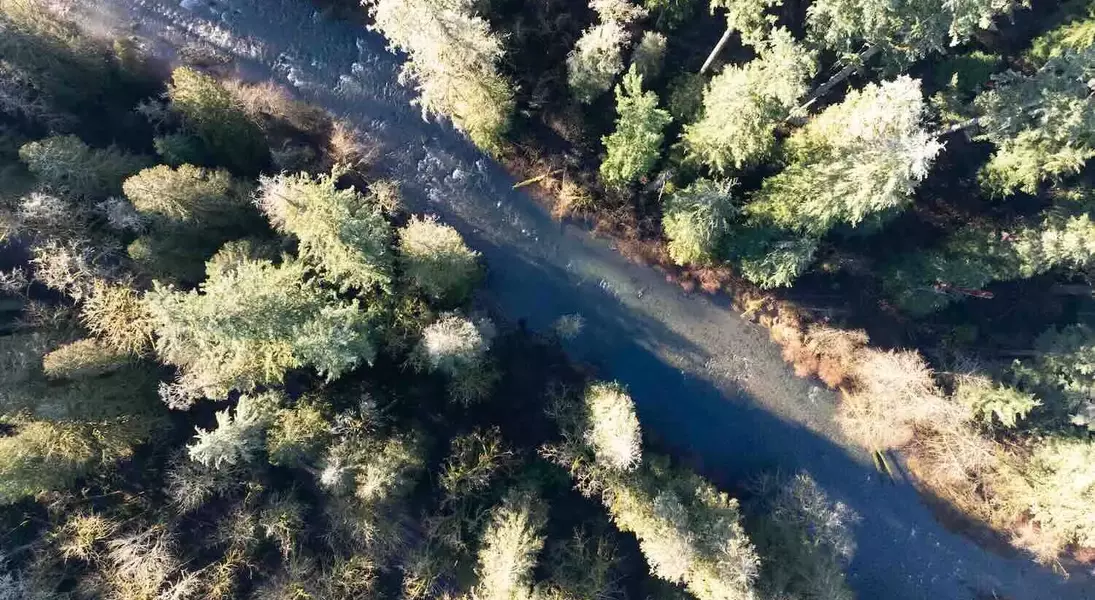 Single Slide