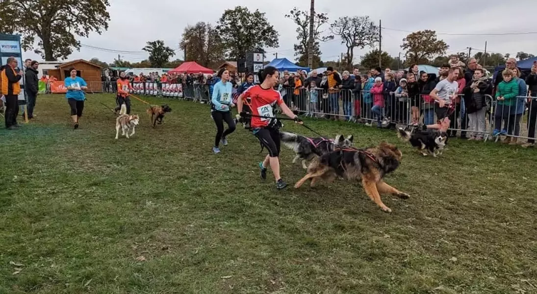 Single Slide