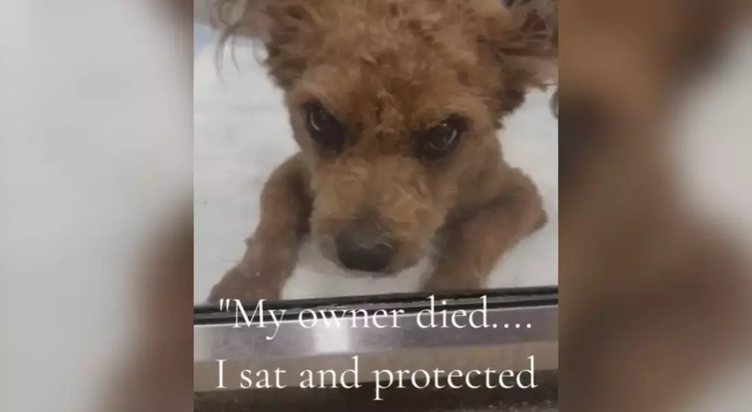 Single Slide