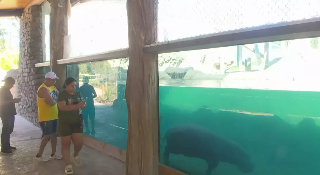 Single Slide