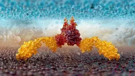 Single Slide