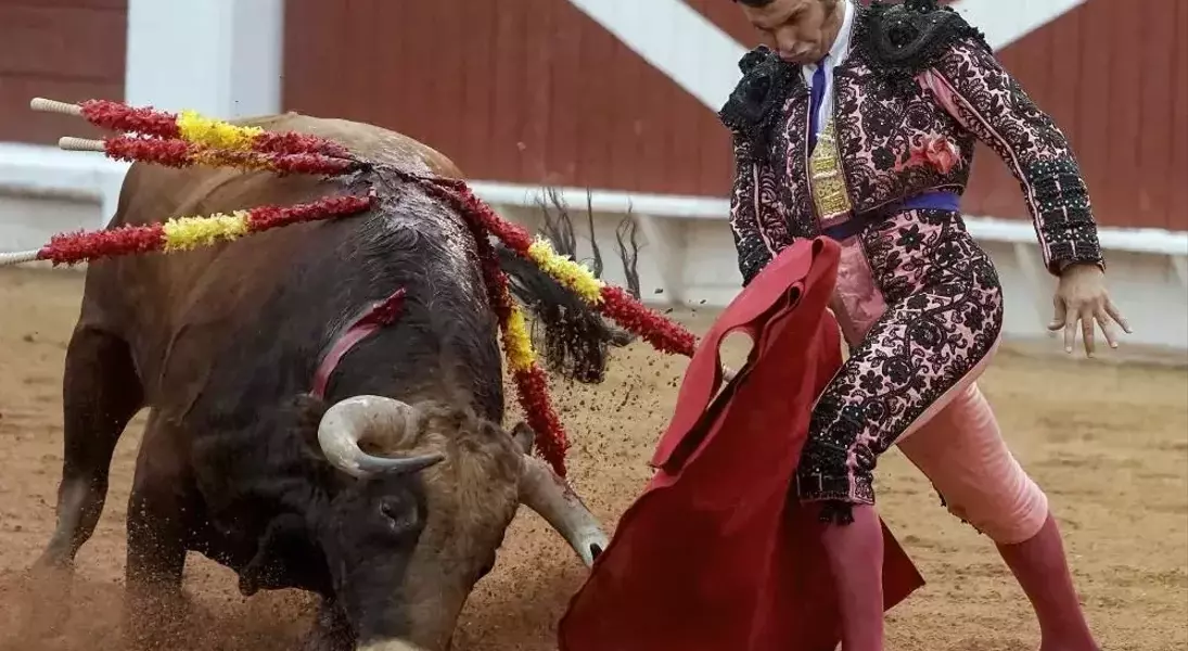 Single Slide