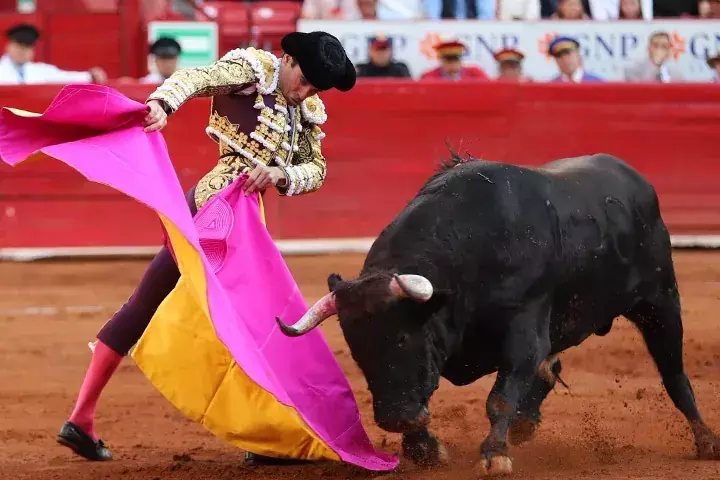 Single Slide