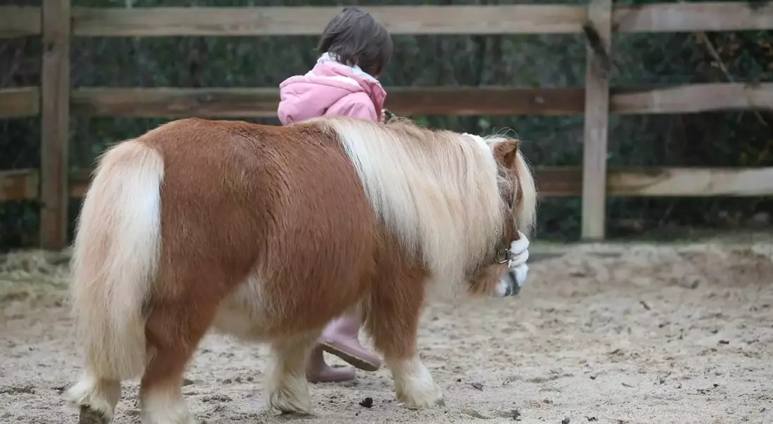 Single Slide
