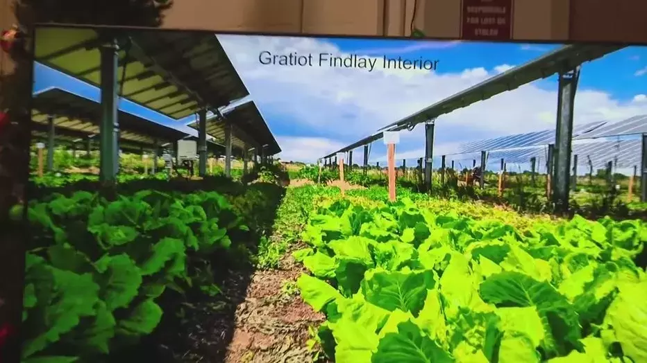 Slide 3