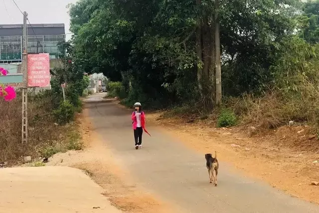 Single Slide