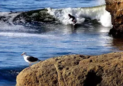 Single Slide