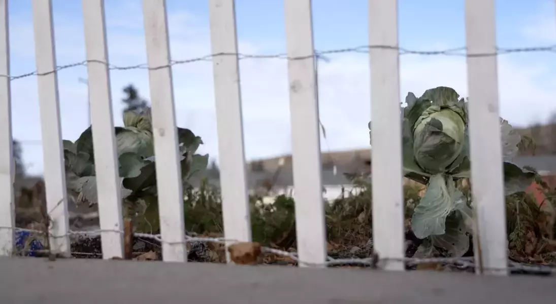 Single Slide