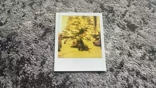 Slide 4