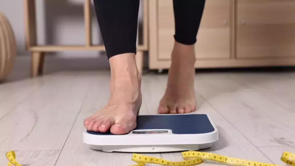 Slide 4