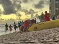 Single Slide