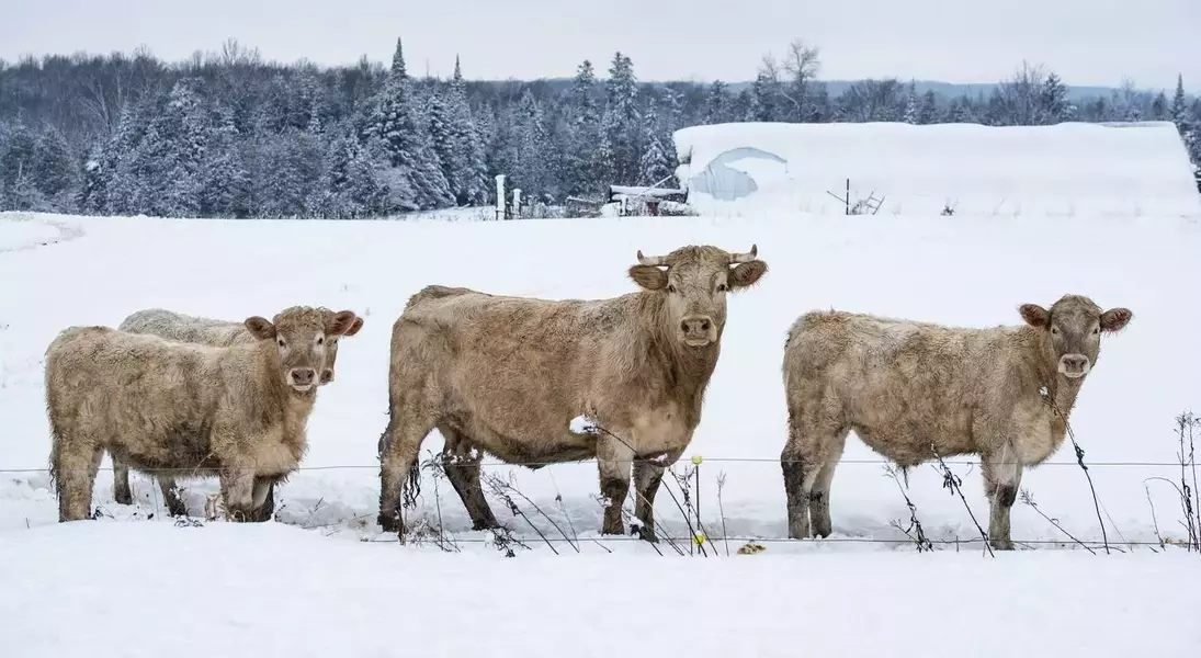 Single Slide