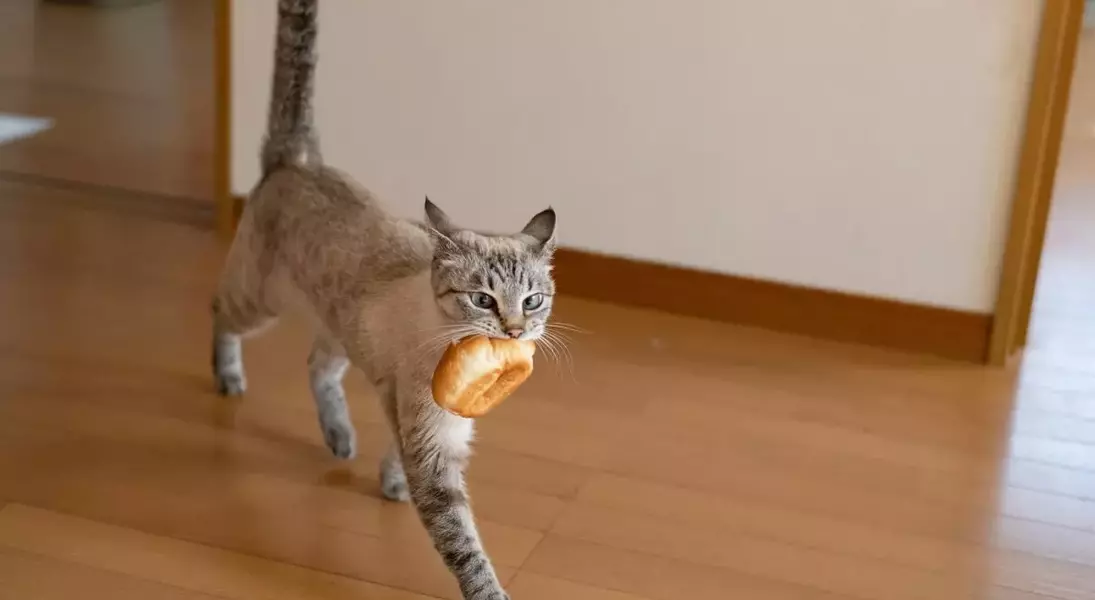Single Slide