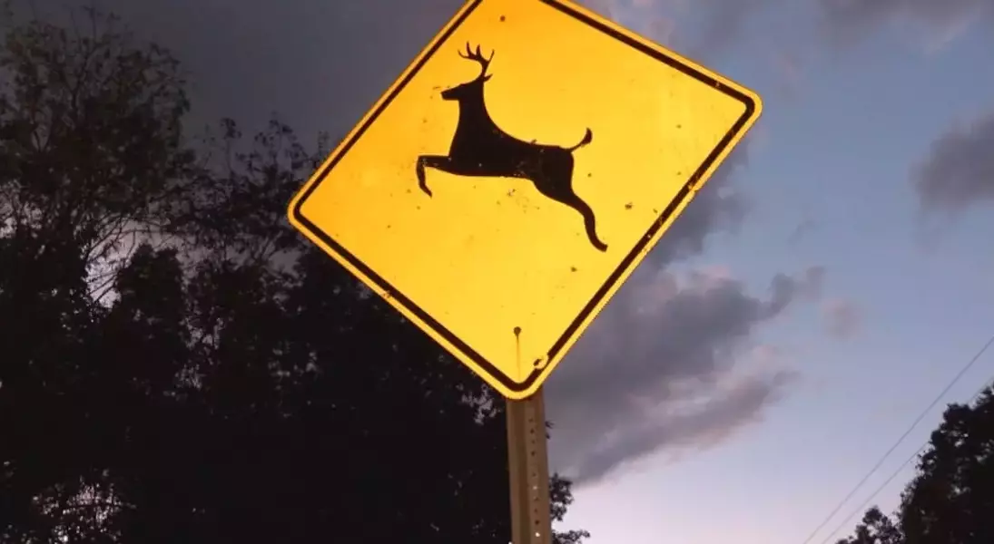 Single Slide