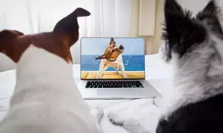 Single Slide