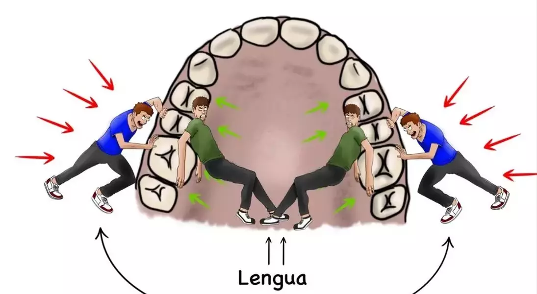 Slide 1