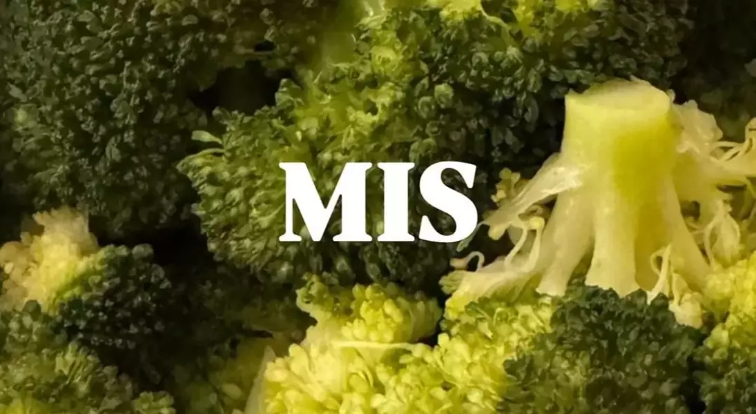 Slide 3