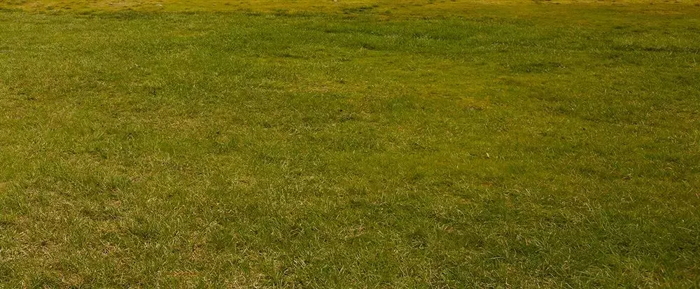 Single Slide