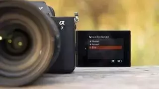 Slide 10