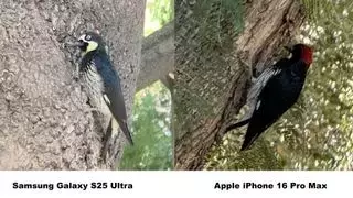 Slide 5