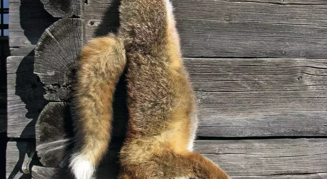 Single Slide