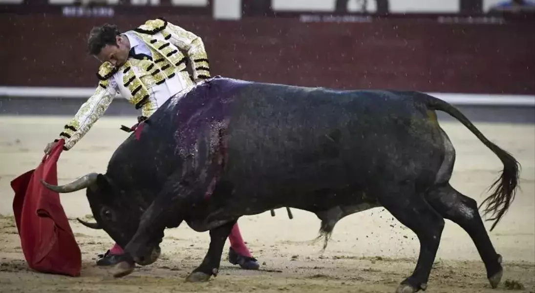 Single Slide