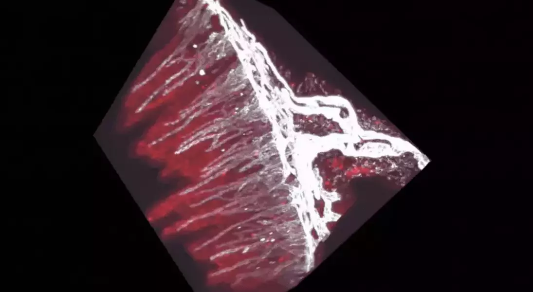 Single Slide